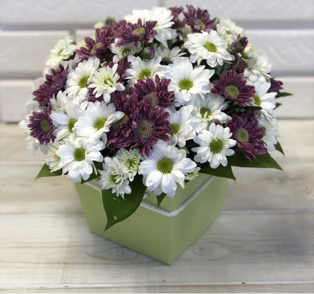 Композиция в коробке хризантемы фиолетовые и белые