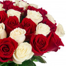 Букет из 51 красной и белой розы