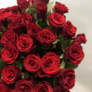 Букет 55 роз красных
