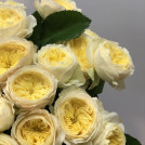 Букет из кустовой пионовидной розы ванильного цвета